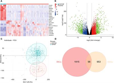 Immunogenomic Analyses of the Prognostic Predictive Model for Patients With Renal Cancer